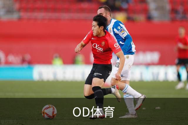 OD体育公司介绍